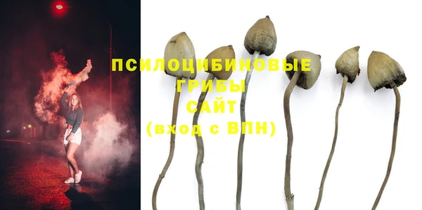 a pvp Баксан