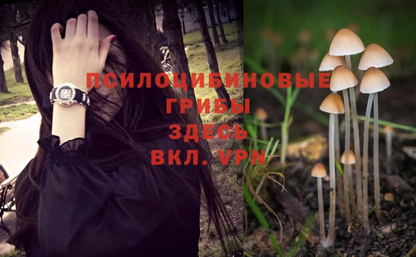 прущий лед Нефтекумск