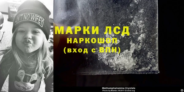 сатива Балахна