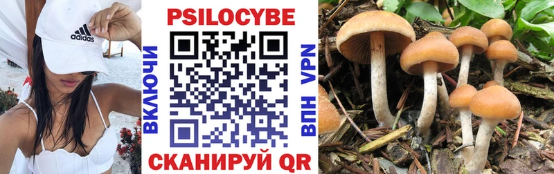 Псилоцибиновые грибы Psilocybine cubensis blacksprut зеркало Волгореченск